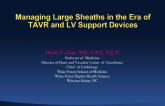 Managing Large Sheaths in the Era of TAVR and LV Support Devices