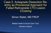 Case 2: Antegrade Dissection Reentry as Provisional Strategy for Failed Retrograde CTO Lesion Crossing