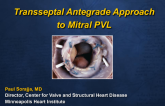 Case I:  Transseptal Antegrade Approach to a Mitral Valve PVL
