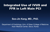 Integrated Use of Intravascular Ultrasound and Fractional Flow Reserve in Left Main PCI
