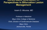 NORDIC-BALTIC BIFURCATION IV: Perspectives on Bifurcation Lesion Management