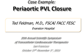 Case III:  Periaortic PVL Closure