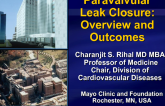 Overview of Paravalvular Leak Closure and Outcomes