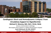 Cardiogenic Shock and Hemodynamic Collapse: From Circulatory Support to Hypothermia