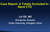 Case Presentation 2: A Totally Occluded In-Stent CTO