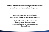 Renal Denervation with the Allegro/Iberis Device: One Simple and One Not-So-Simple Case