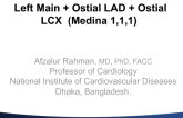 Case #4: Left Main + Ostial LAD + Ostial LCX (Medina 1,1,1)