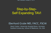 Case Vignettes: Tips and Tricks for Self-Expanding TAVR