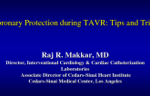 Case Vignettes: Tips and Tricks for Coronary Wire Protection for TAVR
