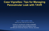 Case Vignettes: Tips and Tricks for Managing Paravalvular Leak After TAVR