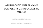 Approach to Mitral Valve Complexity Using Cadaveric Models