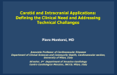 Carotid and Intracranial Applications: Defining the Clinical Need and Addressing Technical Challenges