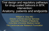 Trial Design and Regulatory Pathways for Drug-Coated Balloons in BTK Intervention: Anatomy, Patients and Endpoints