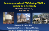 Is Intraprocedural TEE During TAVR a Luxury or a Necessity?