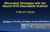 Bifurcation Strategies with the Absorb BVS Everolimus-Eluting Resorbable Scaffold: A Bench Study