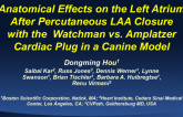Anatomical Effect on Left Atrial After Transcatheter Left Atrial Appendage Devices: Watchman and Amplatzer Cardiac Plug in a Canine Model