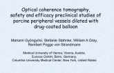 Optical coherence tomography, physiologic vascular function, safety and efficacy preclinical studies of porcine peripheral vessels dilated with drug-coated balloon