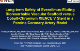 Long-term Safety of Everolimus-Eluting Bioresorbable Vascular Scaffold versus Cobalt-Chromium XIENCE V Stent in a Porcine Coronary Artery Model