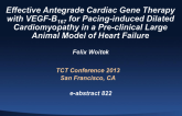 Effective Antegrade Cardiac Gene Therapy with VEGF-B167 for Pacing-induced Dilated Cardiomyopathy in a Pre-clinical Large Animal Model of Heart Failure