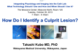 How Do I Identify a Culprit Lesion?