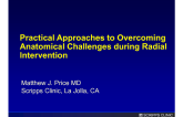 Practical Approaches to Overcoming Anatomical Challenges during Radial Intervention