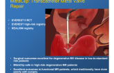 Transcatheter Mitral Valve Repair