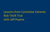 Updates in TAVR