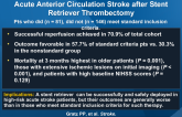 Outcome of Standard and High-Risk Patients with Acute Anterior Circulation Stroke after Stent Retriever Thrombectomy