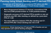 Novel Noninvasive Technology for Treatment Planning Using Virtual Stenting and CT-derived FFR
