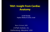 TAVI: Insight from Cardiac Anatomy
