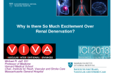 Why is there So Much Excitement Over Renal Denervation?