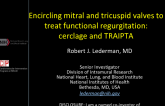 Encircling mitral and tricuspid valves to treat functional regurgitation: cerclage and TRAIPTA
