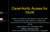 Caval-Aortic Access for TAVR