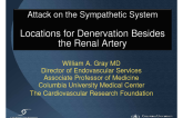 Attack on the Sympathetic System: Locations for Denervation Besides the Renal Artery