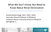 What We Don’t Know, But Need to Know About Renal Denervation