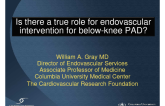 Is There a True Role for Endovascular Intervention for Below-Knee PAD?