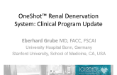 OneShot™ Renal Denervation System: Clinical Program Update