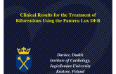 Clinical Results for the Treatment of Bifurcations Using the Pantera Lux DEB