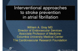 Interventional Approaches to Stroke Prevention in Atrial Fibrillation