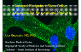 Induced Pluripotent Stem Cells: Implications for Personalized Medicine