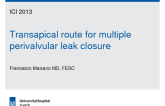 Transapical Route for Multiple Perivalvular Leak Closure