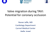 Valve Migration during TAVI: Potential for Coronary Occlusion