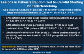 Predictors of Acute and Persisting Ischemic Brain Lesions in Patients Randomized to Carotid Stenting or Endarterectomy