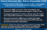 Impact of New-Onset Persistent LBBB on Late Clinical Outcomes After Balloon-Expandable TAVR