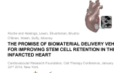 The promise of biomaterial delivery vehicles for improving stem cell retention in the infarcted heart