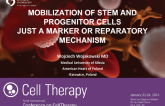 Mobilization of Stem and Progenior Cells Just a Marker or Reparatory Mechanism