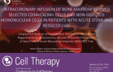 INTRACORONARY INFUSION OF BONE MARROW-DERIVED SELECTED CD34+CXCR4+ CELLS AND NON-SELECTED MONONUCLEAR CELLS IN PATIENTS WITH ACUTE STEMI AND REDUCED LVEF