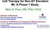 Cell Therapy for Non-ST Elevation MI: A Phase 1 Study
