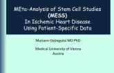 MEta-Analysis of Stem Cell Studies (MESS) In Ischemic Heart Disease Using Patient-Specific Data