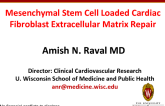 Mesenchymal Stem Cell Loaded Cardiac Fibroblast Extracellular Matrix Repair